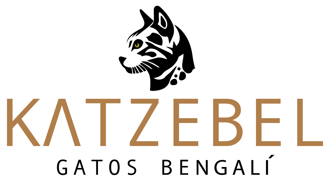 Katzebel Logo